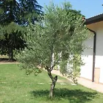 Caterina Faenza