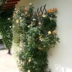 Caterina Aparthotel Faenza