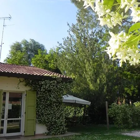 Caterina 3*