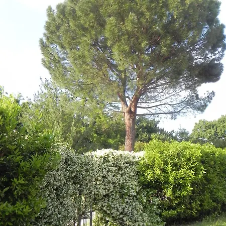 Caterina 3*