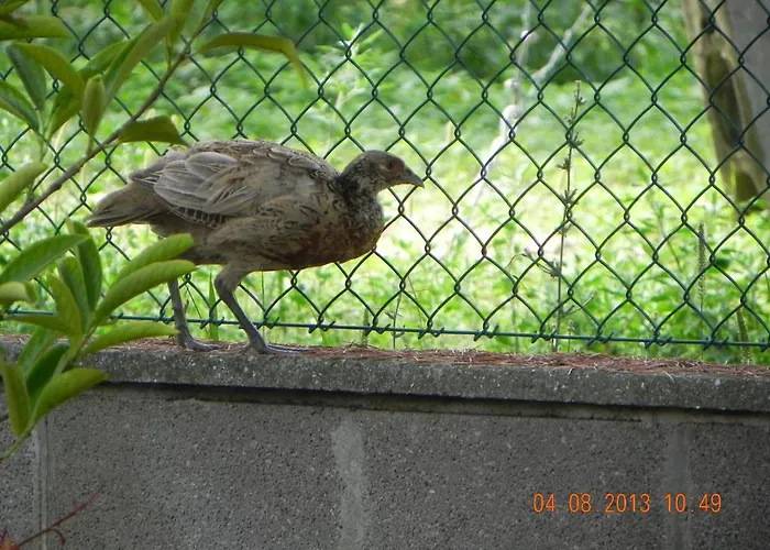 شقة فندقية Caterina