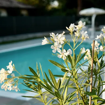 Apart-hotel Caterina 3*