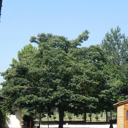 Caterina Aparthotel 3*