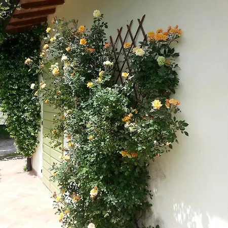 Caterina Apart-hotel Faença