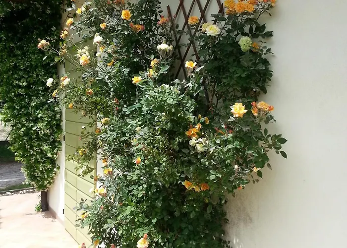 Caterina מלון דירות פאנצה